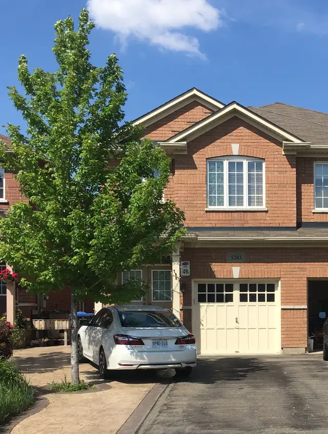 Rooms available (only for male Bachelors immediately