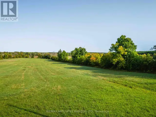 LOT BLACK RIVER ROAD South Stormont, Ontario in Land for Sale in Ottawa - Image 8