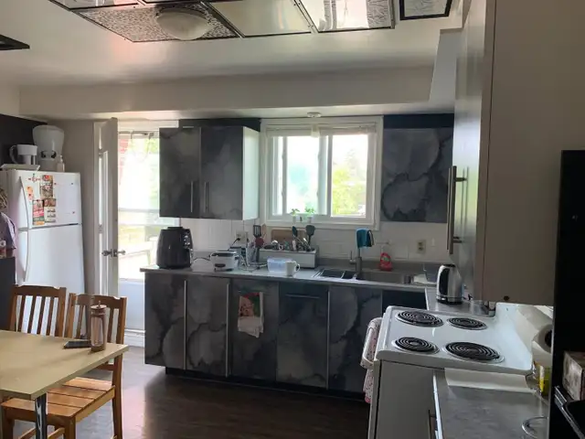 3-38 Marshall St in Long Term Rentals in Kitchener / Waterloo - Image 4