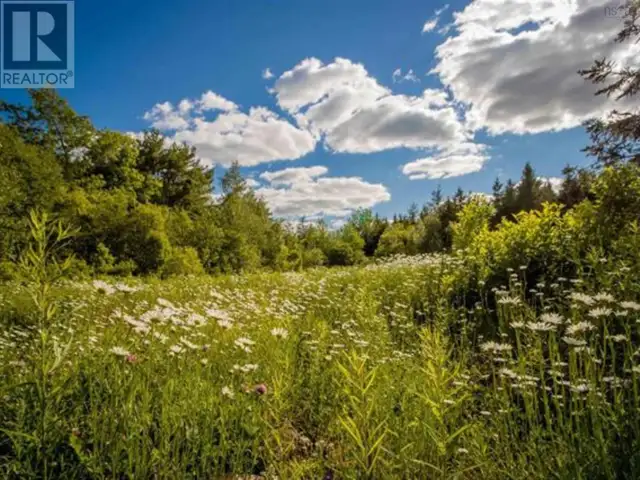 Lot A2 Aylesford Road Lake Paul, Nova Scotia in Land for Sale in Annapolis Valley - Image 6