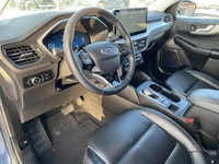 **WE WILL BEAT ANY DEALER IN THE CITY** Vapor Blue Metallic 2024 Ford Escape Platinum AWD 8-Speed Au... (image 9)