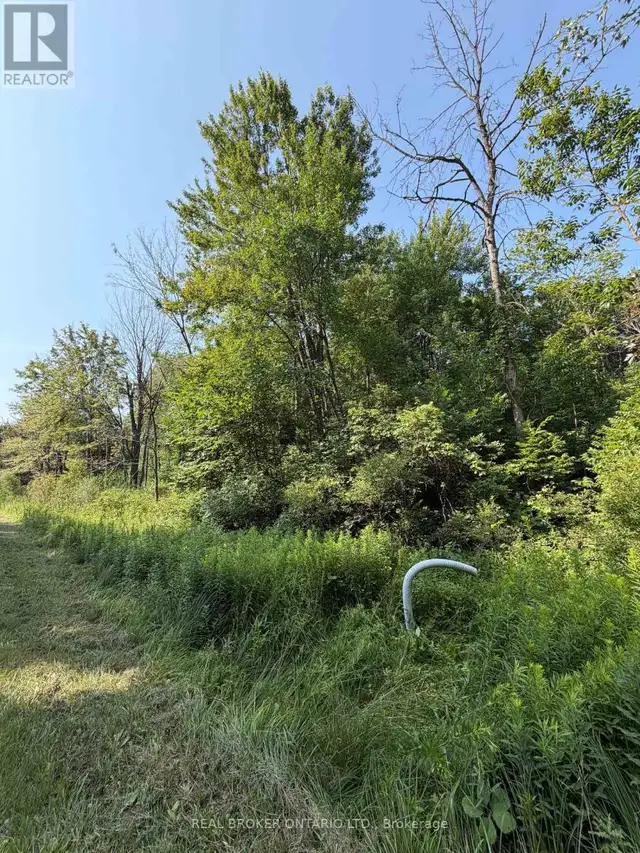 436123 43RD LINE Zorra, Ontario in Land for Sale in Woodstock - Image 4