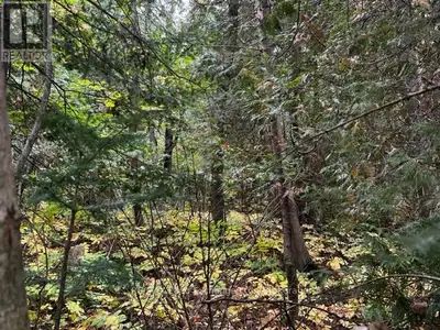 Fully serviced lakeside building lot . Permit ready. Located at the north end of Southampton, this l...