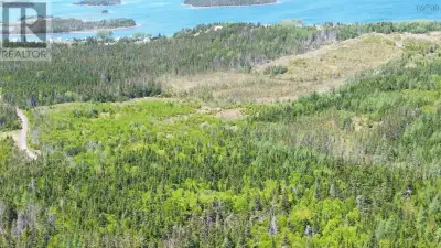 13 acres +- of property awaits your new home. Approximately 100 feet +- of frontage on Highway #320....