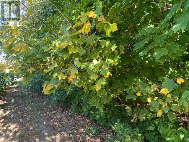 1315 CONCESSION 8 CONCESSION Kincardine, Ontario in Land for Sale in Owen Sound - Image 19