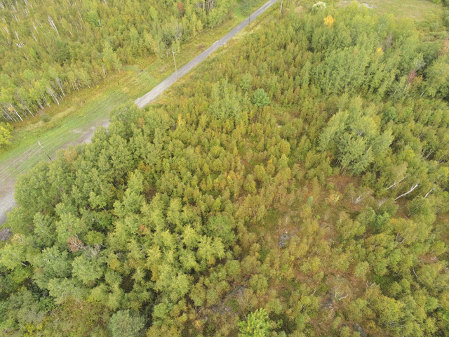 Lot 1 Bancroft Dr - 	14 Acre Parcel in Land for Sale in Oshawa / Durham Region - Image 2