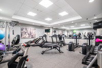 1 Month Free Rent Visit our Website: https://www.capreit.ca/apartments-for-rent/toronto-on/the-thoma... (image 3)