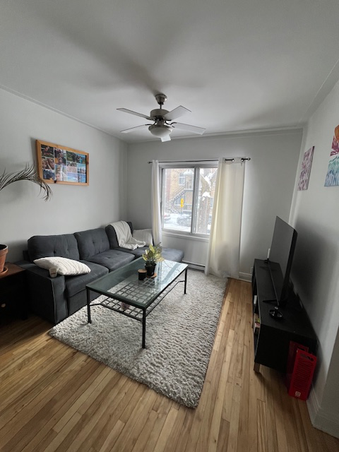 3 1/2, salon et chambre à aire ouverte Idéal pour personne seule désirant la tranquillité. Sans anim...