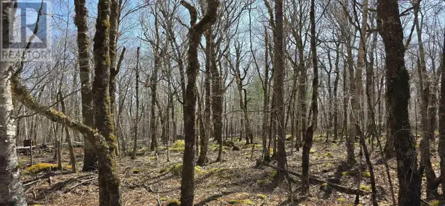 69 Sparkling Spring Lane Labelle, Nova Scotia in Land for Sale in Bridgewater - Image 24