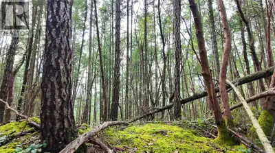 Just over 5 acres of south-west facing land on beautiful Gabriola Island! This is where your dream h...