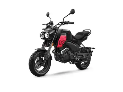2026 CFMOTO PAPIO CL PAPIO CL 2026 ============= 5-year limited warranty New retro-scrambler motorcy...
