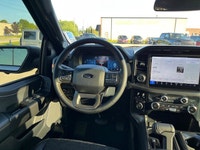 One Local Owner, Clean CarFax, Carbonized Gray Metallic 2025 Ford F-150 Tremor 4X4, 10-Speed Automat... (image 9)
