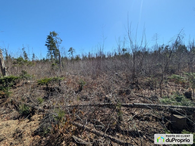 $39,900 - Residential Lot for sale in St-Bruno-De-Kamouraska — photo 2