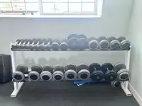 dumbbells and rack