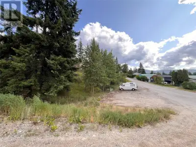 Here is a good building opportunity in Lower Fairview. A triangular corner lot bordered by Bealby Ro...