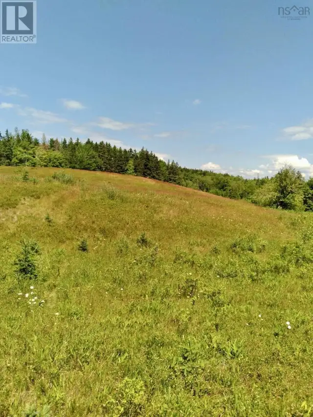 272 Breen Road Monastery, Nova Scotia in Land for Sale in New Glasgow - Image 19