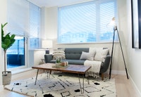 Stunning Apartments at Novare in New Westminster - Call Today! Current Incentives: 1 Month FREE Rent... (image 3)