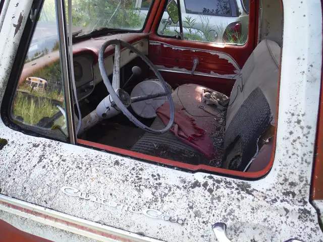 1964-6 Ford 1/2 ton trucks for parts or restoration!!!!! in Auto Body Parts in Edmonton - Image 6