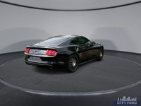 City Ford is Family Owned and Operated serving Edmonton and area for Over 37 Years - Over 300 New &... (image 7)