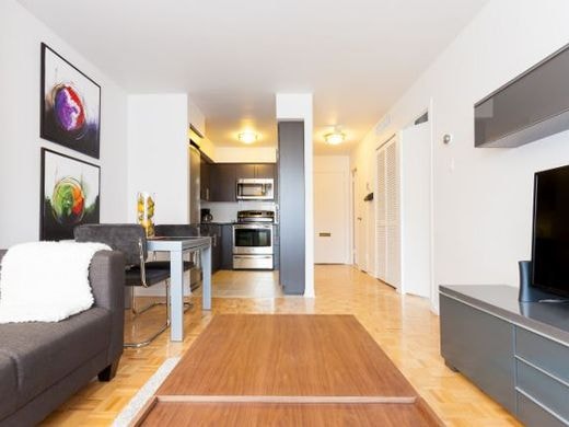 Large Two Bedroom Apartment for Rent - 1100  ave Dr. Penfield 5