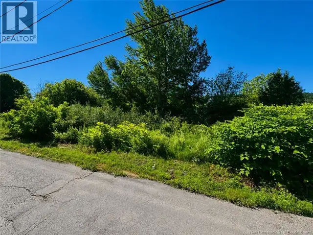 432 Well Street Dalhousie, New Brunswick in Land for Sale in Bathurst - Image 4