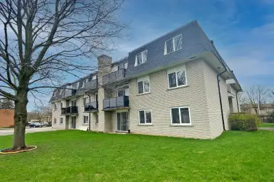 {{Stunning Spacious 2 bed 1 bath w Balcony Cambridge}}