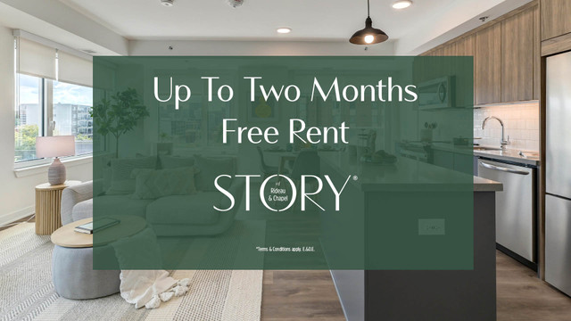 New Studio Apartment - Up to Two Months Free Rent in Long Term Rentals in Ottawa