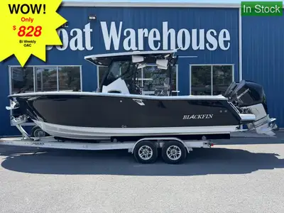 Twin Mercury 250HP, Tandem Axle Trailer, Upgraded Sound System, T-Top with Tower Speakers and sprede...