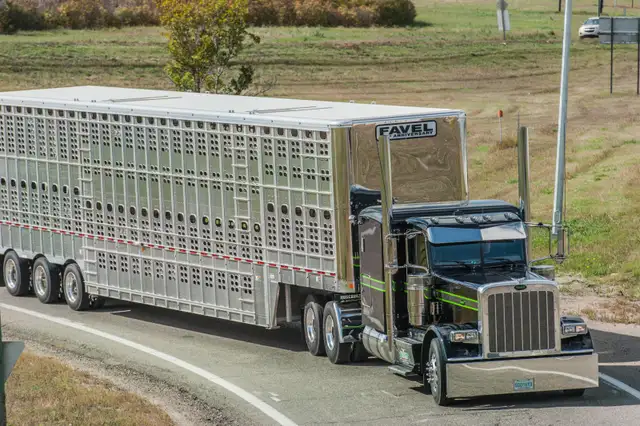 Owner Operator - Livestock Division in Drivers & Security in Moose Jaw - Image 6