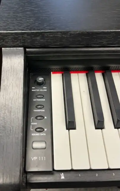 Galileo Viscount VP 111 Electric/Digital Piano - 88 key in Pianos & Keyboards in Oakville / Halton Region - Image 4
