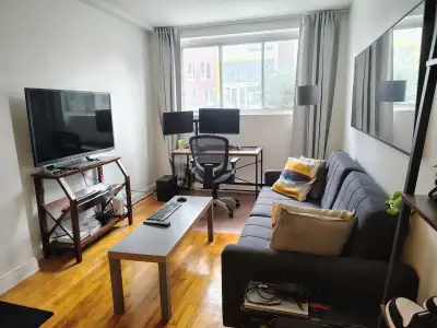 1ER JUILLET -  3 1/2 MÉTRO PIE-IX, ÉLECTROS+STATIONNEMENT, View more