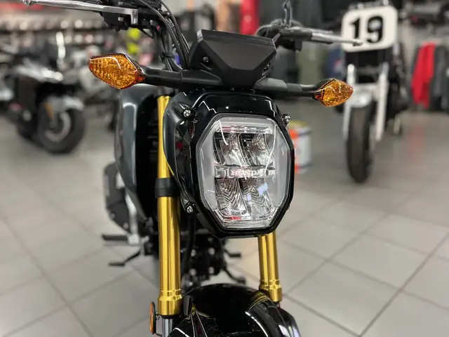 2024 Honda MSX125 Grom in Street, Cruisers & Choppers in Kitchener / Waterloo - Image 10