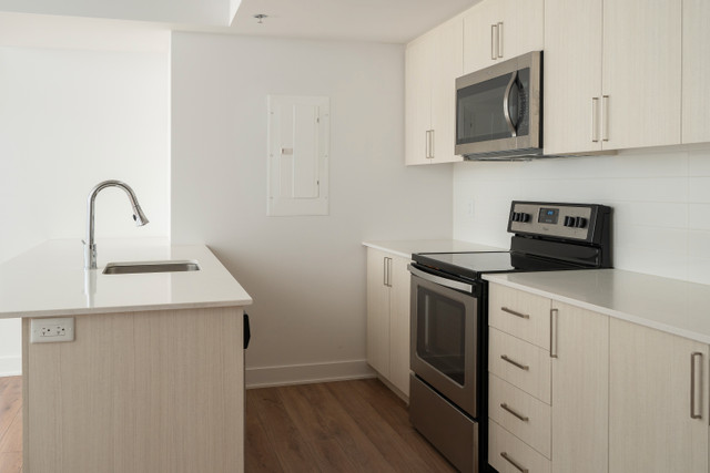 1 chambre condo appartement à louer- Montréal, Ville-Marie, UQAM dans Locations longue durée  à Ville de Montréal - Image 2
