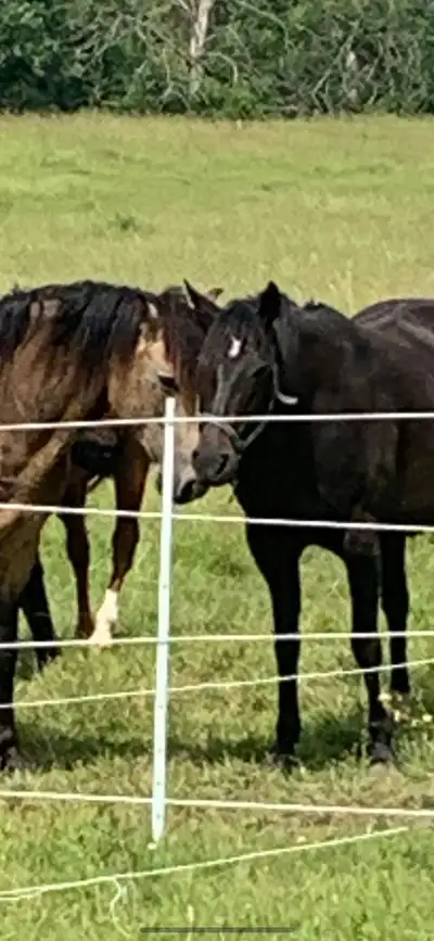 Cheap outdoor board , View more