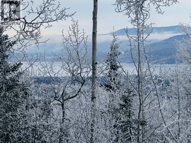 LOT A BALD HILL ROAD Burns Lake, British Columbia in Land for Sale in Burns Lake - Image 15