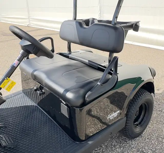 2026 E-Z-GO RXV 2 Valor S EX1-Black golf cart in ATVs in Vernon - Image 14