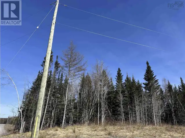 Lot 16 - Lower River Road Grantville, Nova Scotia in Land for Sale in Cape Breton - Image 15