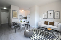 McNab Apartment For Rent | Alex 20