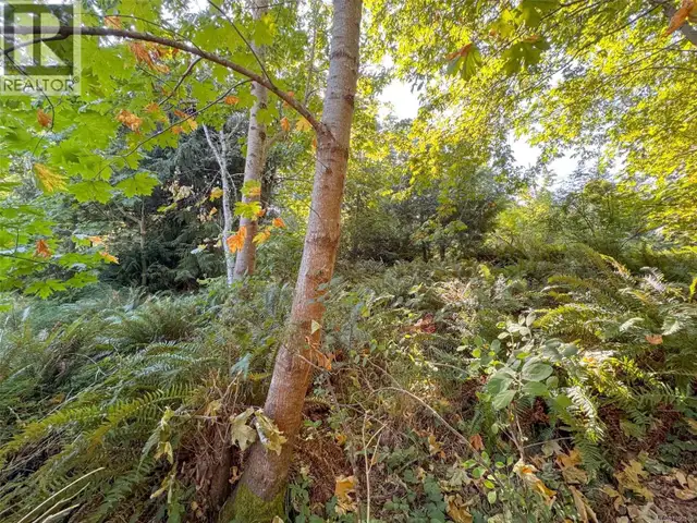 Lot 7 The Strand Gabriola Island, British Columbia in Land for Sale in Nanaimo - Image 7
