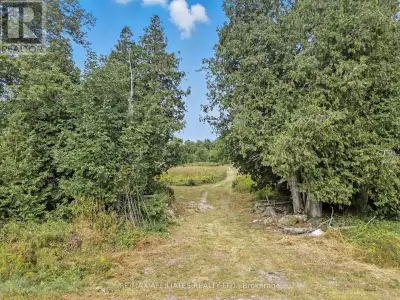 Nestled on 38 acres, this stunning building lot offers the perfect canvas for your dream home and yo...