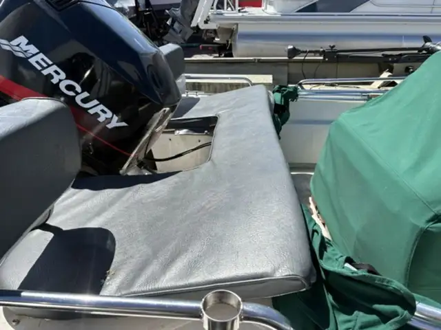 1998 Boston Whaler 15 DAUNTLESS in Powerboats & Motorboats in Trenton - Image 3