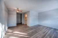 One Lower and one Upper Stacked townhouse are available immediately for 1 year lease at 1200 Courtla... (image 4)