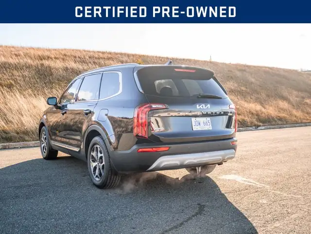 2022 Kia Telluride EX in Cars & Trucks in St. John's - Image 7