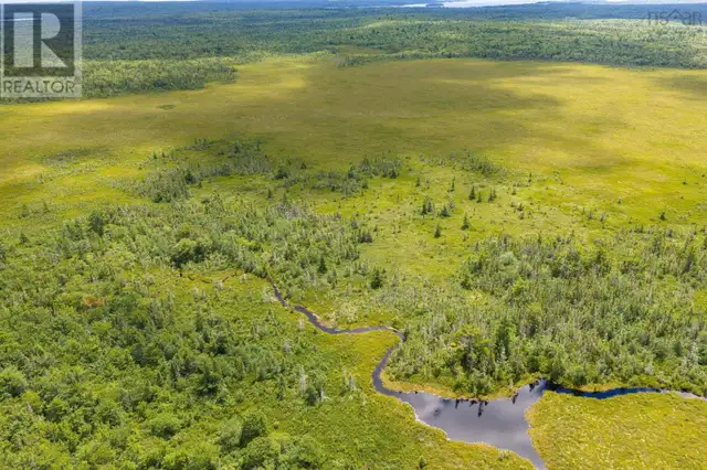 TBD Canada Hill Road Allendale, Nova Scotia in Land for Sale in Yarmouth - Image 12