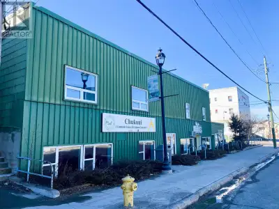 Investment Opportunity! This large property located in the heart of Red Lake has 2 residential: 1 fi...