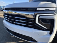 AMVIC Licensed Dealer Are you in search of a travel companion that's equally at home on city streets... (image 2)