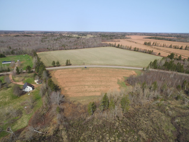 2 acre parcel of land Central Kildare in Land for Sale in Summerside - Image 4