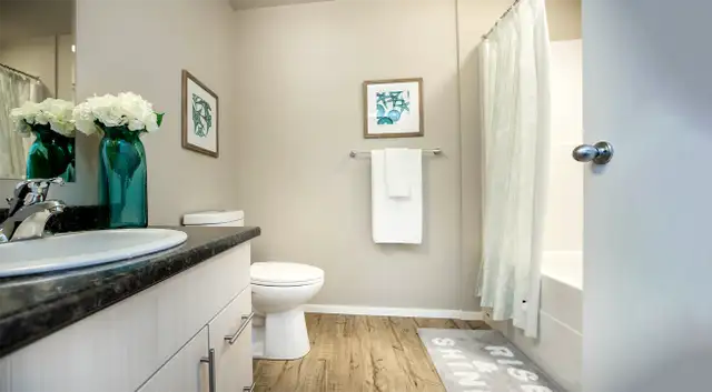 Pet-Friendly One Bedroom One Bath with In-suite Laundry for Rent in Long Term Rentals in Penticton - Image 8