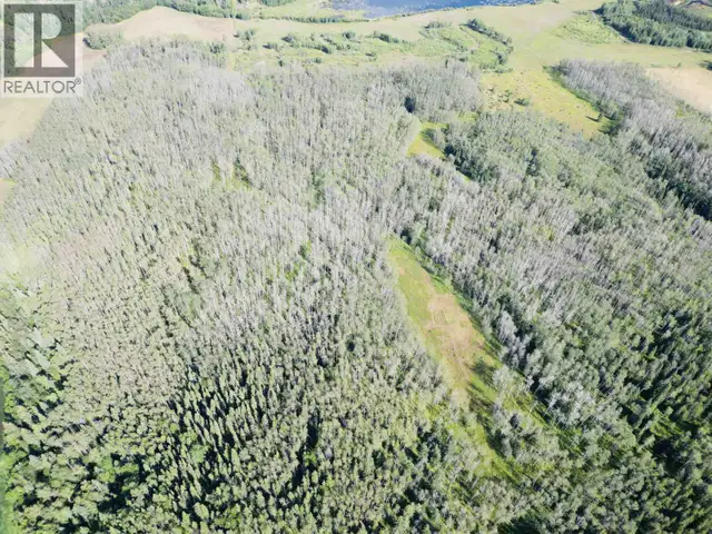 DL 941 SHAEFFER LAKE Burns Lake, British Columbia in Land for Sale in Burns Lake - Image 16