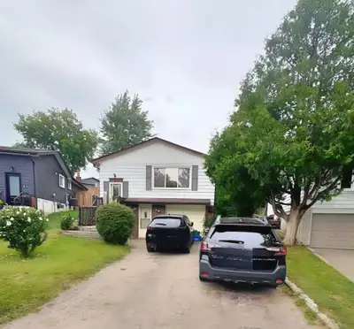 2-Bedroom Basement Apartment for Rent in Kitchener's Forest Heights! Bright & spacious unit with: ✨...